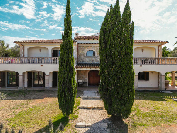 Front view with old tree population