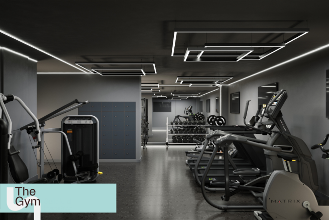 The gym