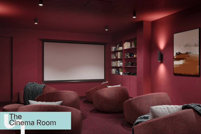 The cinema room