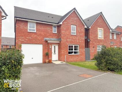 Ginkgo Grove, Somerford, Congleton