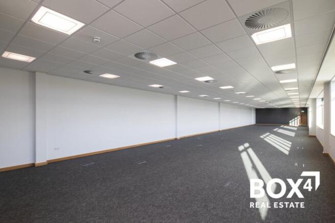 _DLP1313 B81 David Lee Photography Ltd.jpg