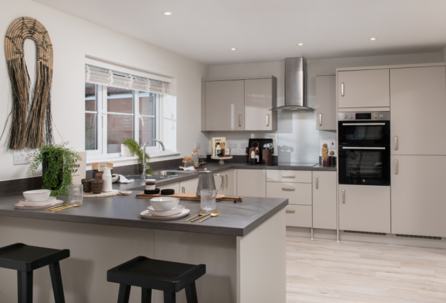 Camellia-Kitchen