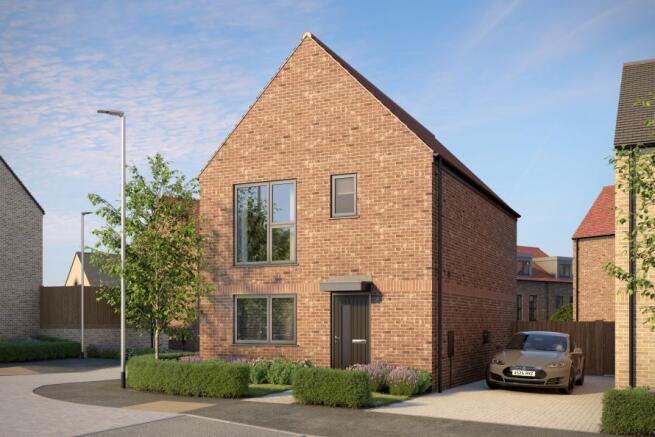 Kingsley Park - Cedar