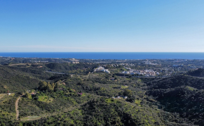 Plot views