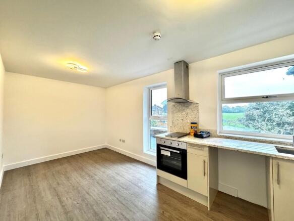 Living / Kitchen Area