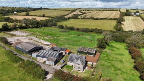 Cow Park, Manorbier Newton, Tenby