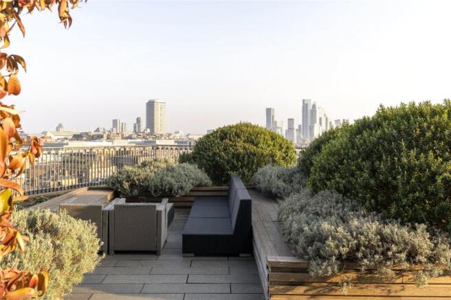 Roof Terrace