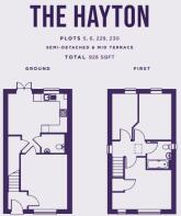 The Hayton