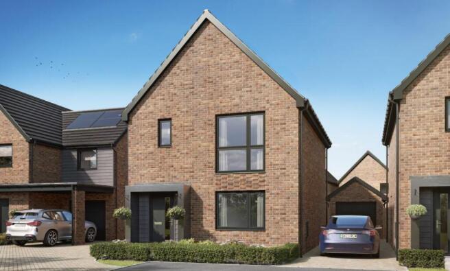 Dandara - Hawthorn Grove - The Frogmore, Home 11