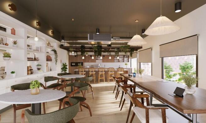 Kitchen Area