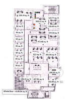 Floor/Site plan 1
