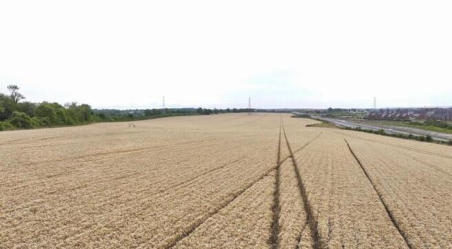 WhatsApp Image 2025-11-11 at 10.38.48 AM (2).jpeg