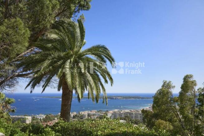 A scenic view of a coastal city with a palm tree i