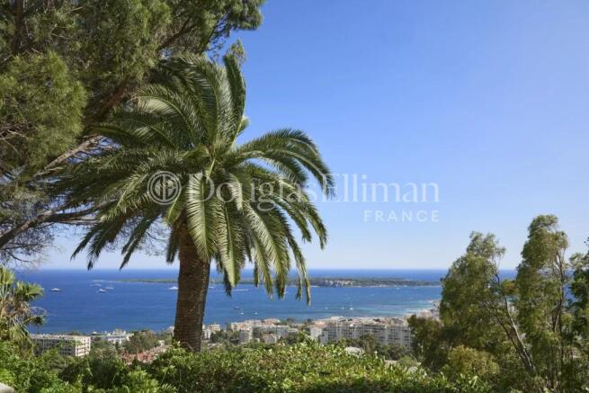 A scenic view of a coastal city with a palm tree i