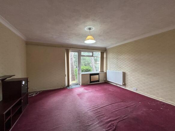 IMG 4830 T202510201540.jpg