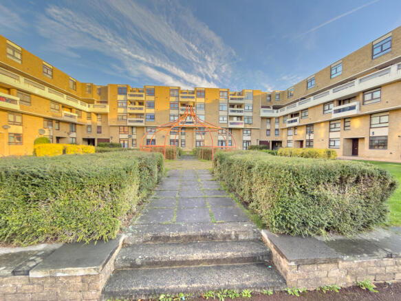 IMG 6784 T202510301004.jpg