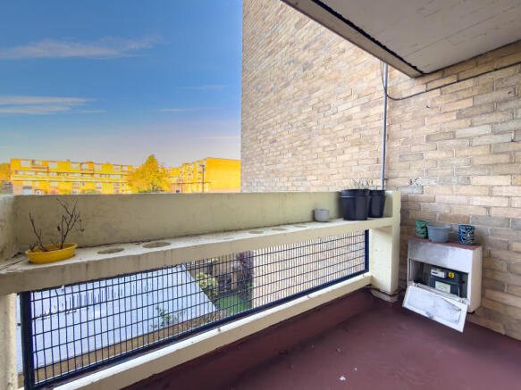 IMG 6763 T202510301004.jpg