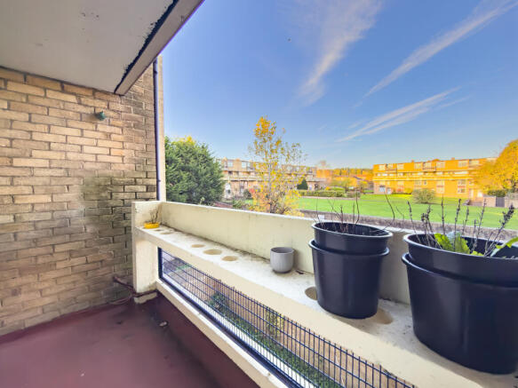 IMG 6765 T202510301004.jpg