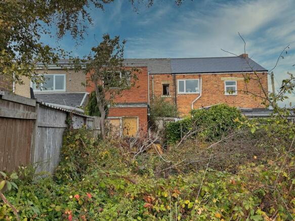 IMG 6961 T202511021556.jpeg