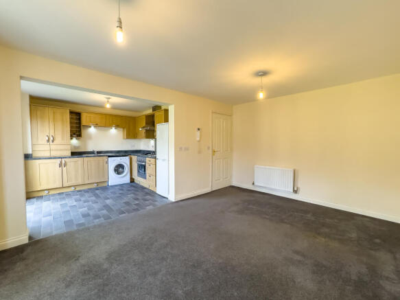 IMG 0260 T202510271353.jpg