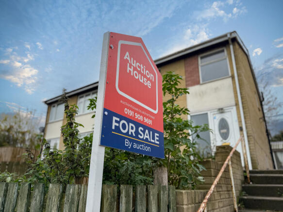 IMG 7276 T202511061714.jpg