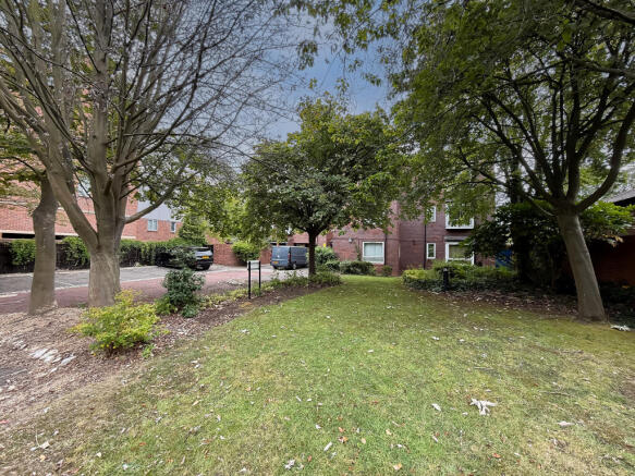 IMG 2589 T202511111920.jpg