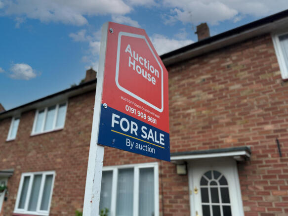 IMG 8006 T202511191825.jpg