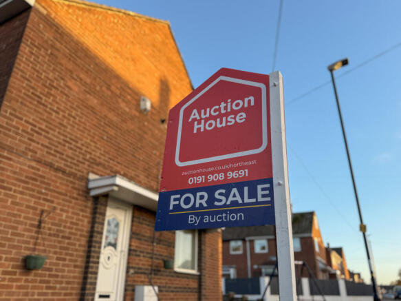 IMG 7917 T202511201510.jpg