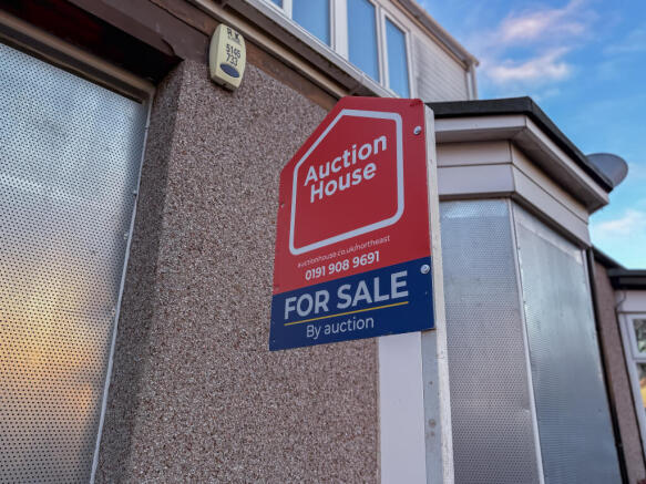 IMG 8380 T202511261752.jpg