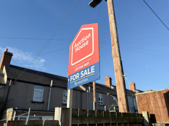 IMG 8703 T202512031247.jpg