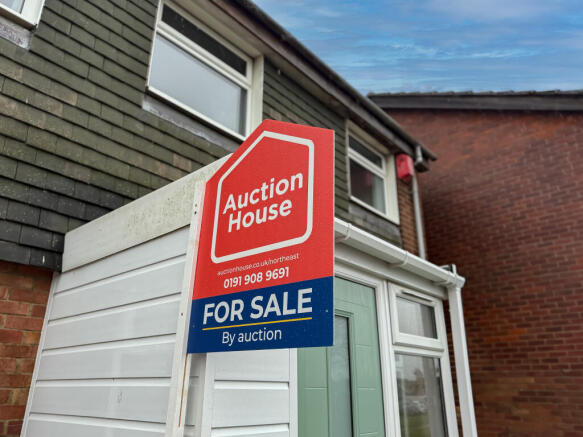 IMG 1405 T202601272030.jpg