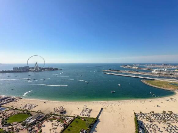 Full Sea & palm view