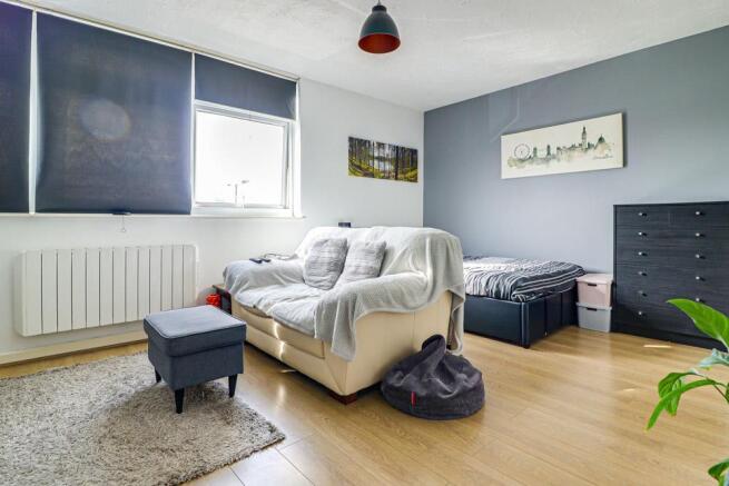 Living Area/Bedroom Area