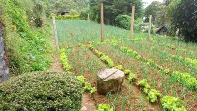 45 Perches Bare Land