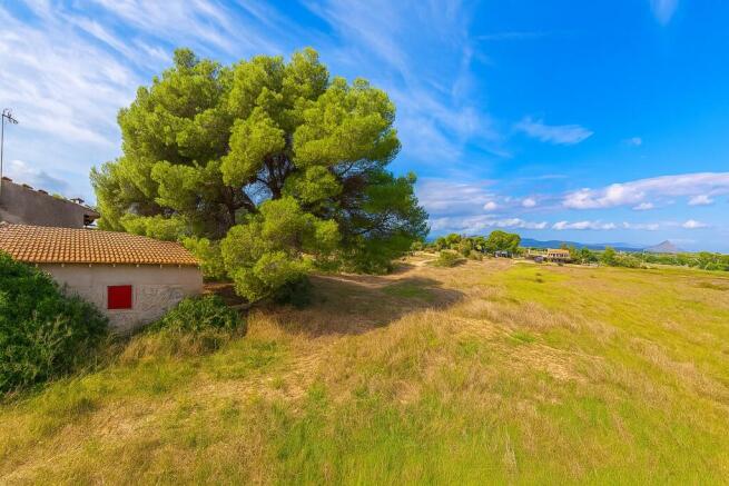 View over the property