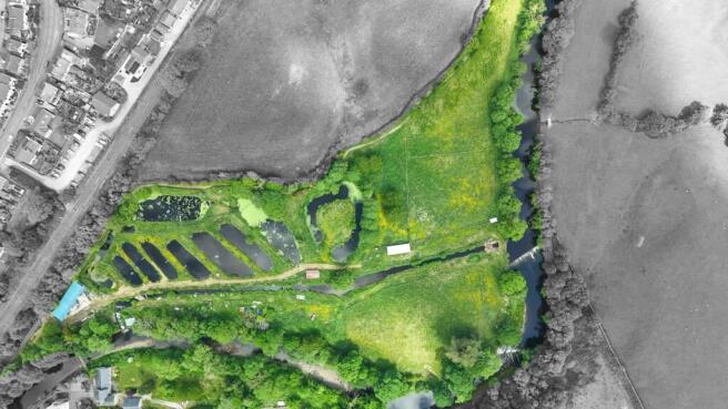 Low Mills Trout Farm