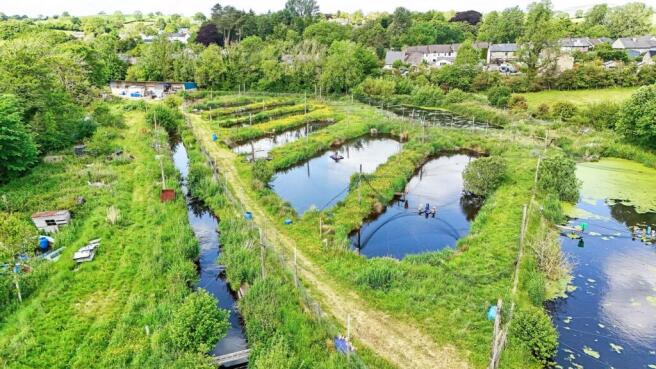 Low Mills Trout Farm