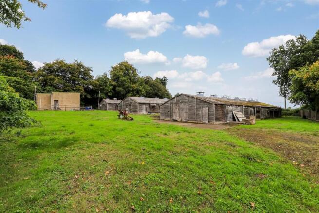 Ground Shot Mid Page.jpg