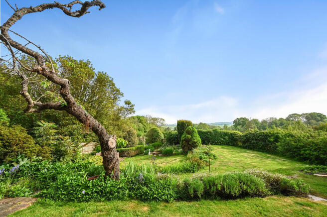 THE COTTAGE - HOG...