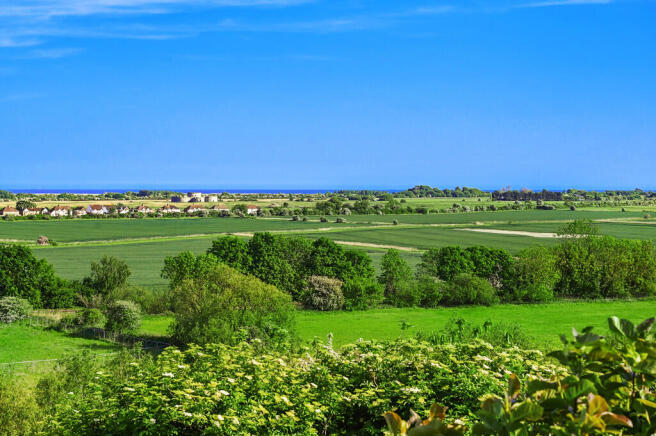Cadborough Cliff ...