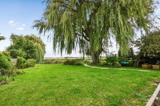 ANDERIDA - TN364L...