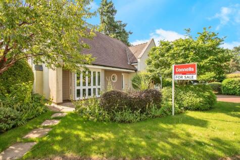 Driftwood Park, Christchurch