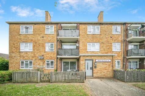 Hawthorn Avenue, Colchester