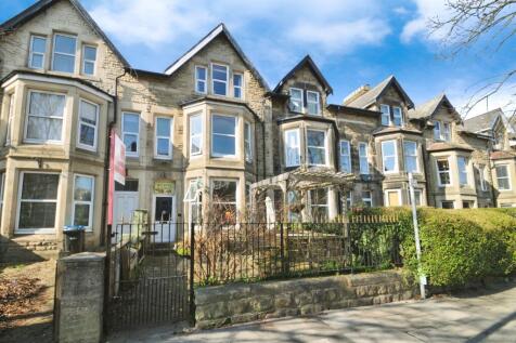 Dragon Parade, Harrogate