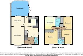 wmremove-transformed (2).jpeg