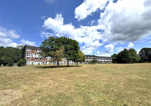 Grounds