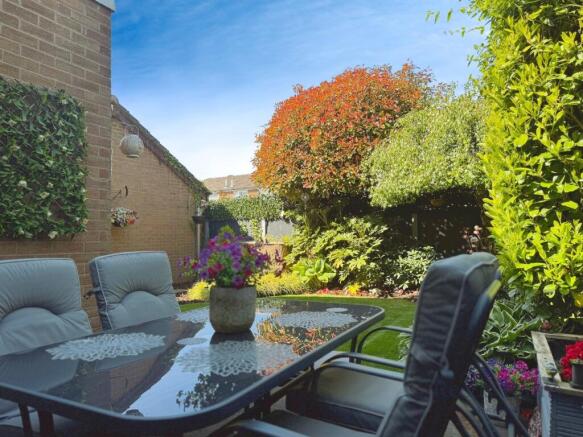 Rear Patio Area
