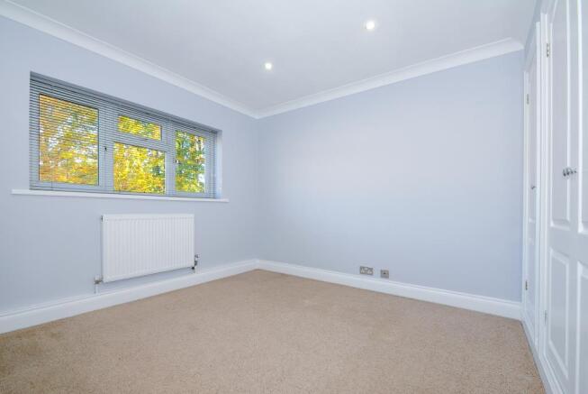 Photos