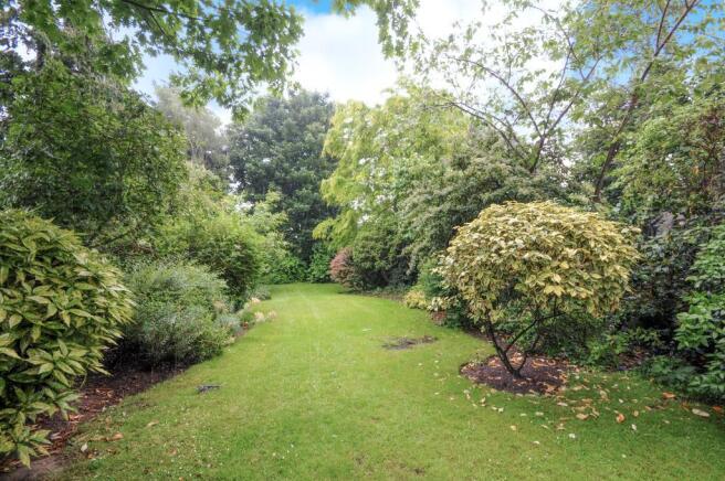 Communal Garden