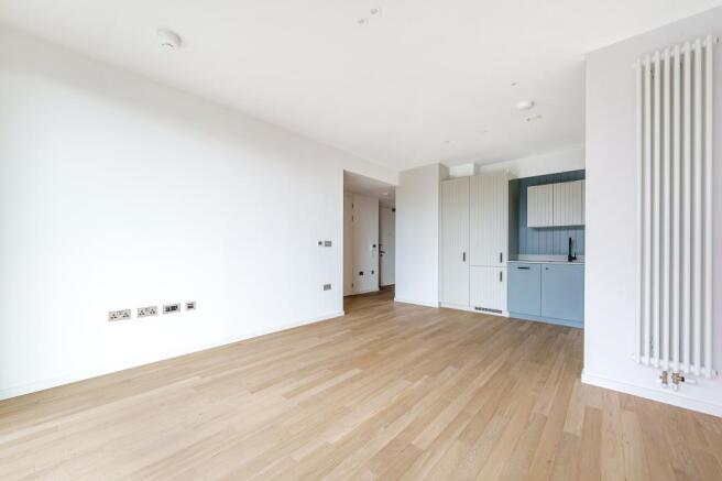 Kitchen / Living Area